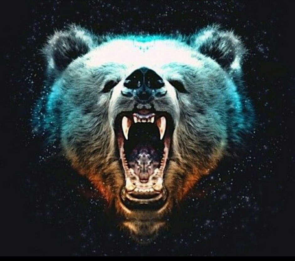 Чехол для самсунг s21 медведь