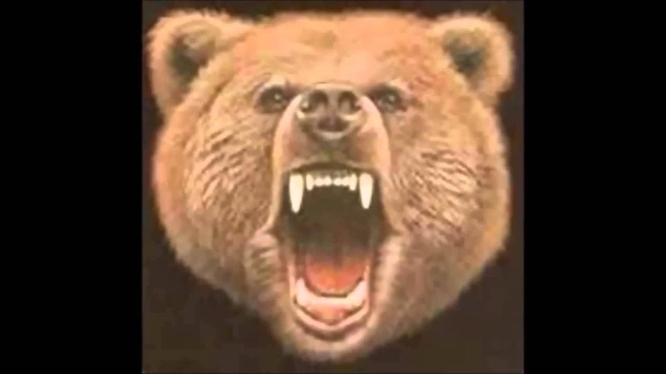 Медведь Гризли злой