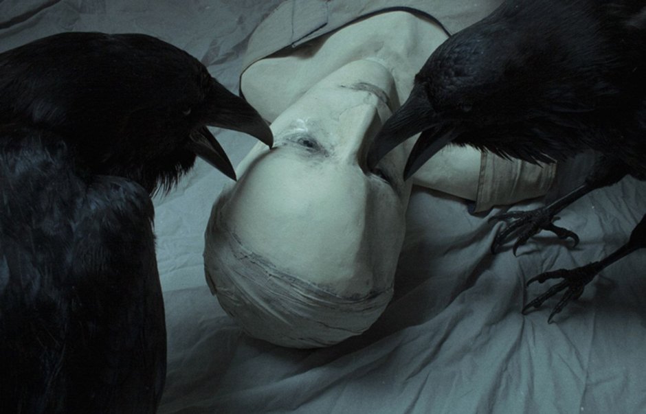 Craig Kosak картины ворон