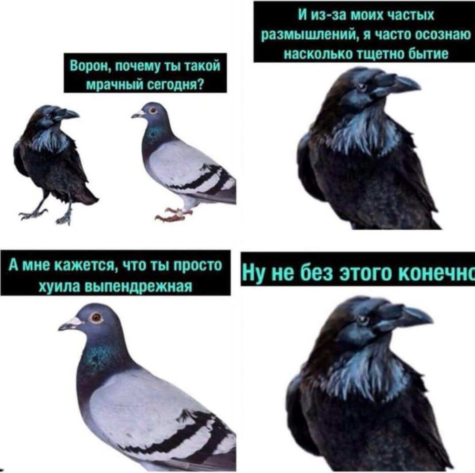 Человек с вороном арт