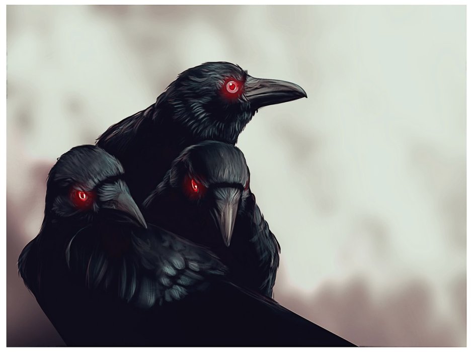 Аракокра ДНД