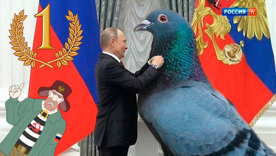 Человек голубь