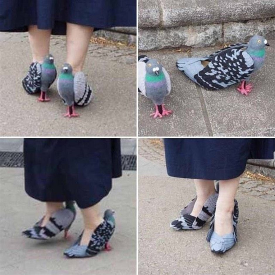 Мемы с голубями