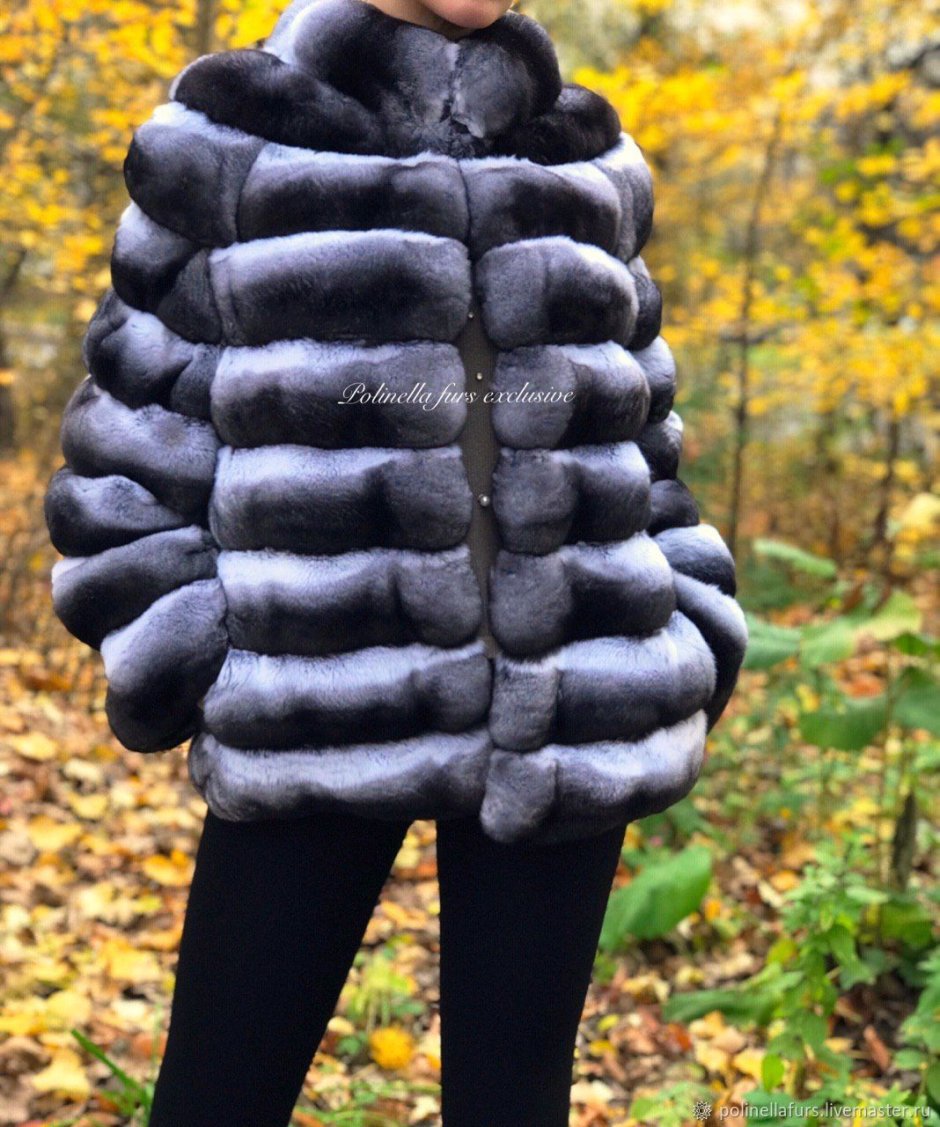 Кролик рекс и орилаг