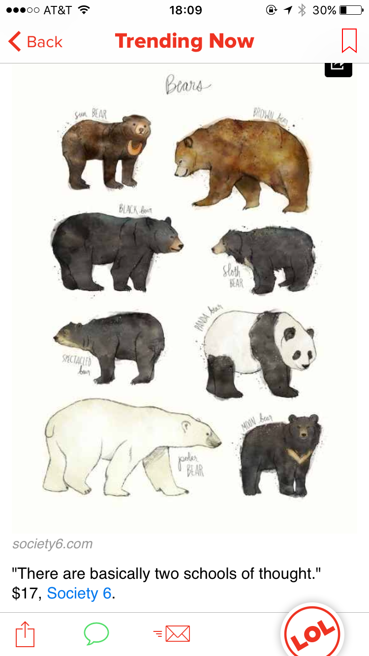 Медведь Гризли и бурый медведь сравнение