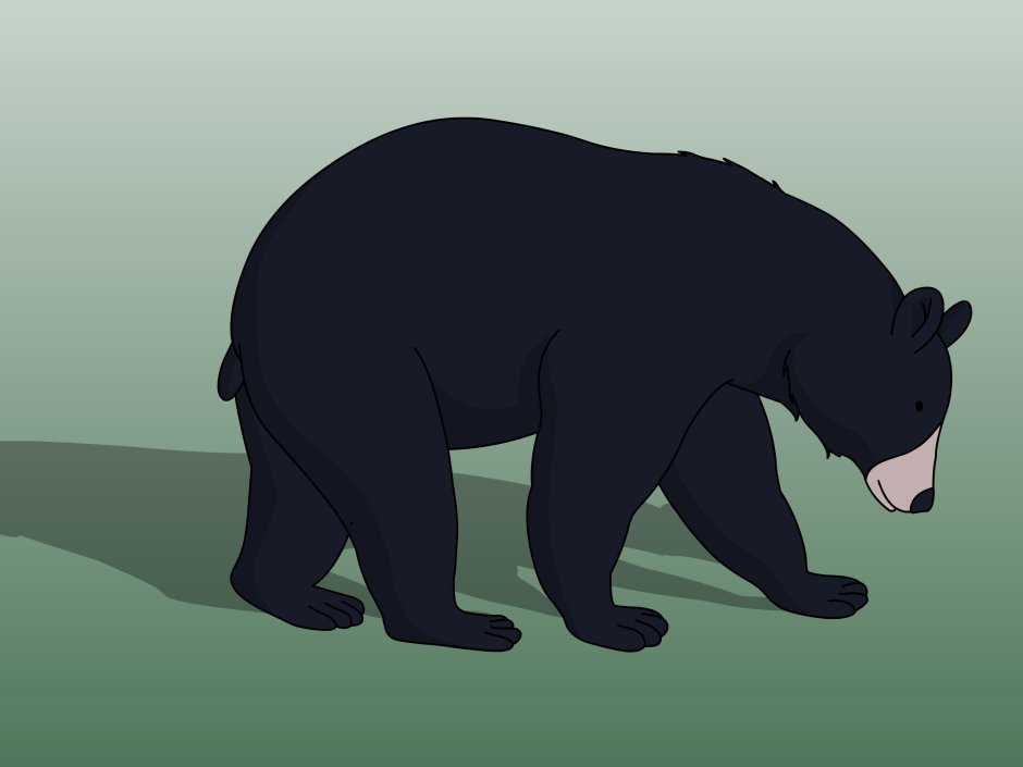 Американский черный медведь из роки Маунтин