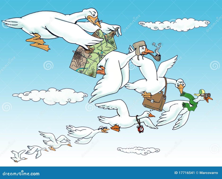 Карикатура утки