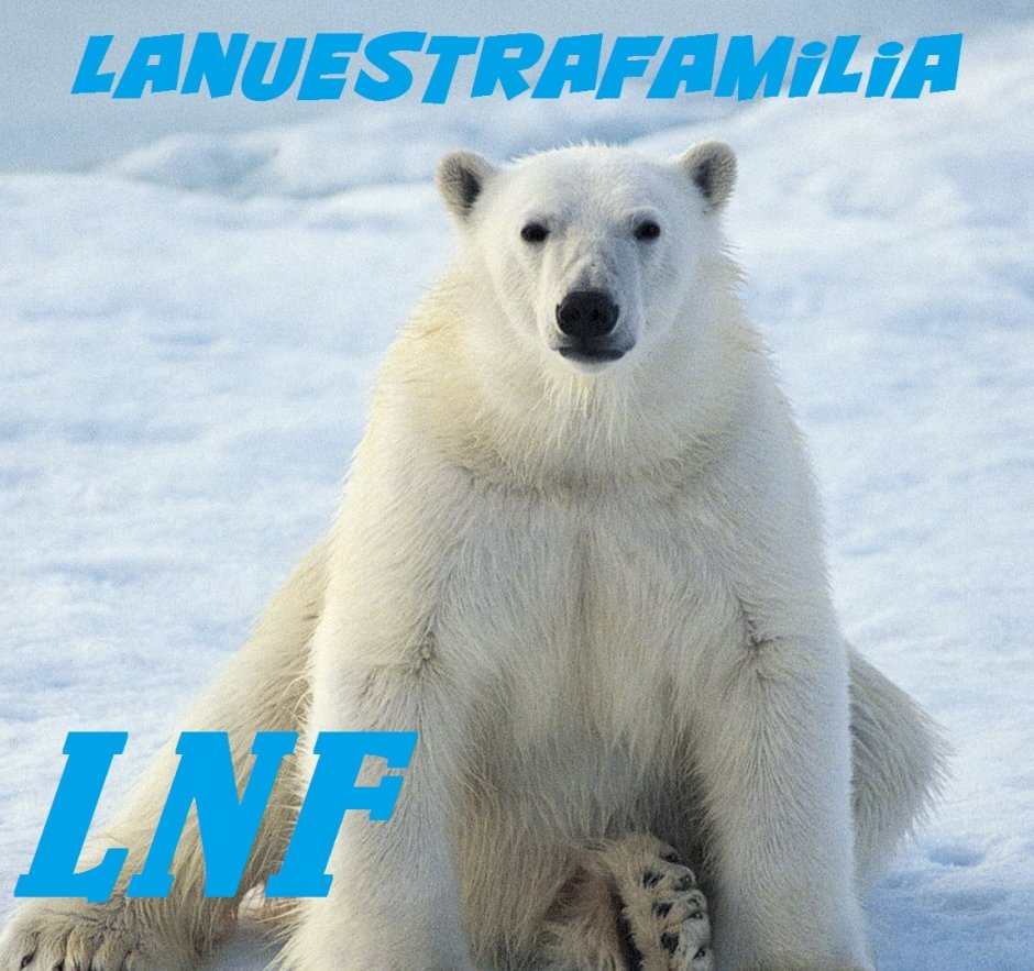 Песец и белый медведь