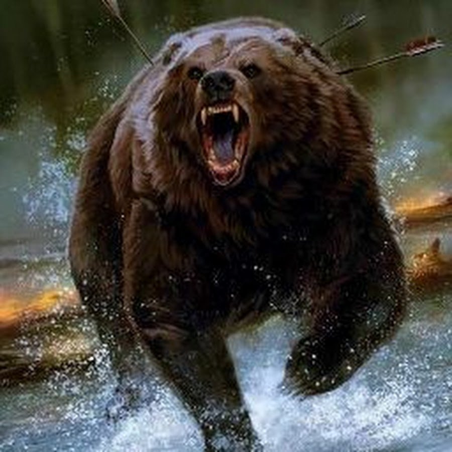Медведь Гризли злой