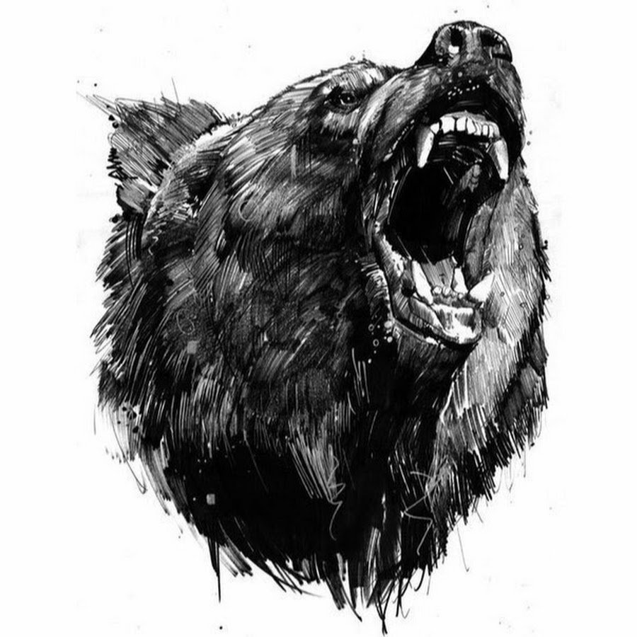 Оскал медведя тату эскиз