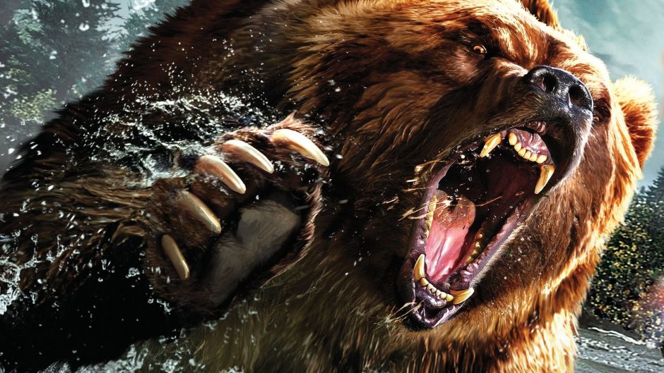Медведь Гризли злой