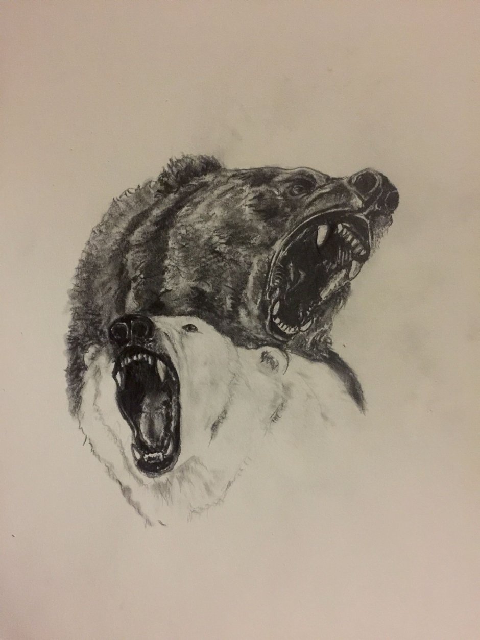 Белый медведь эскиз тату