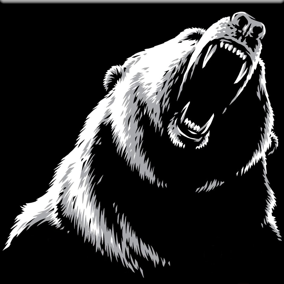 Медведь арт чб