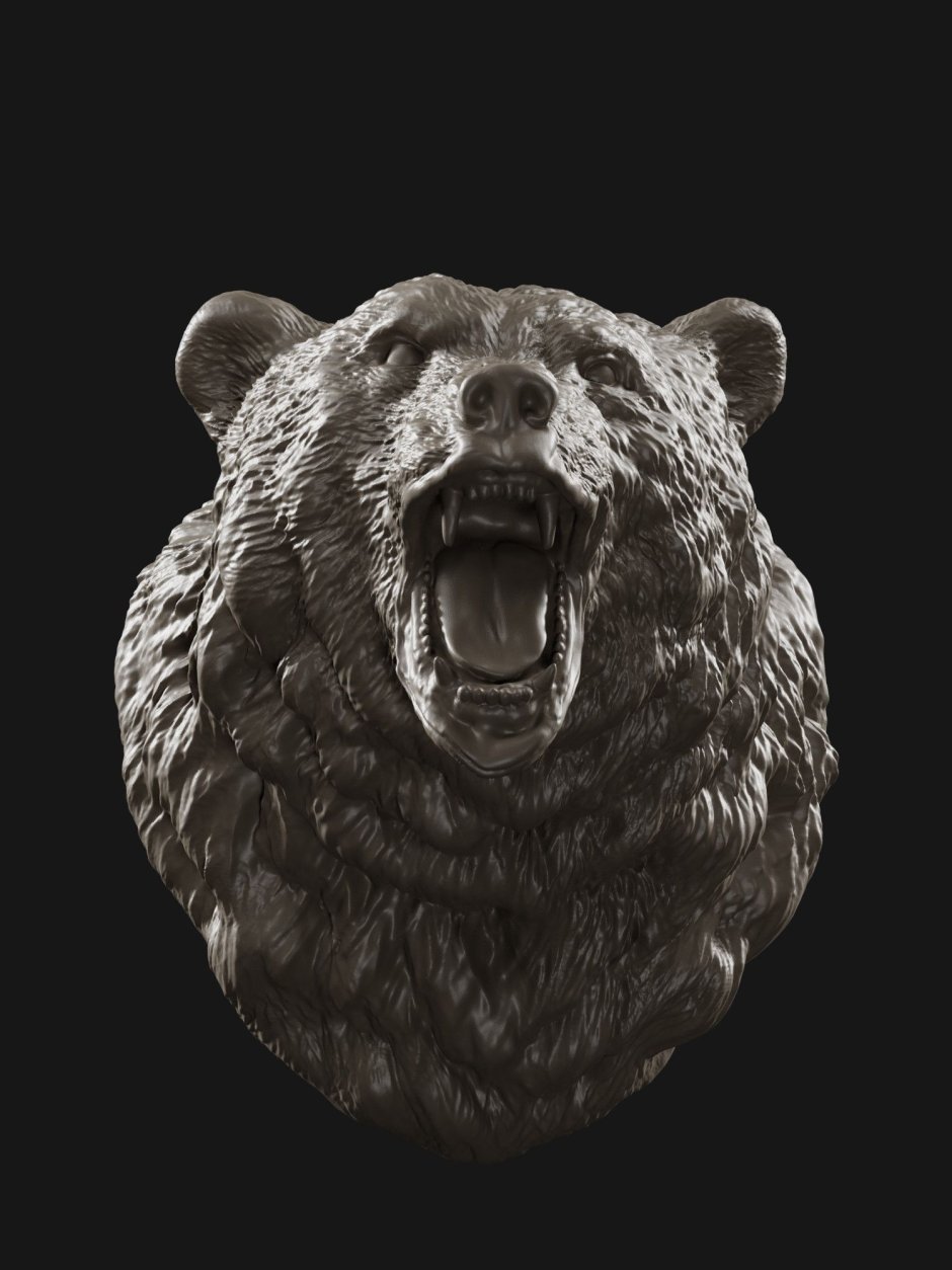 Разъяренный медведь