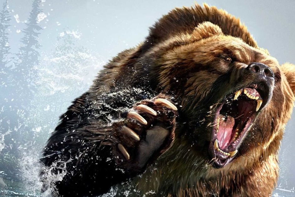 Оскал медведя