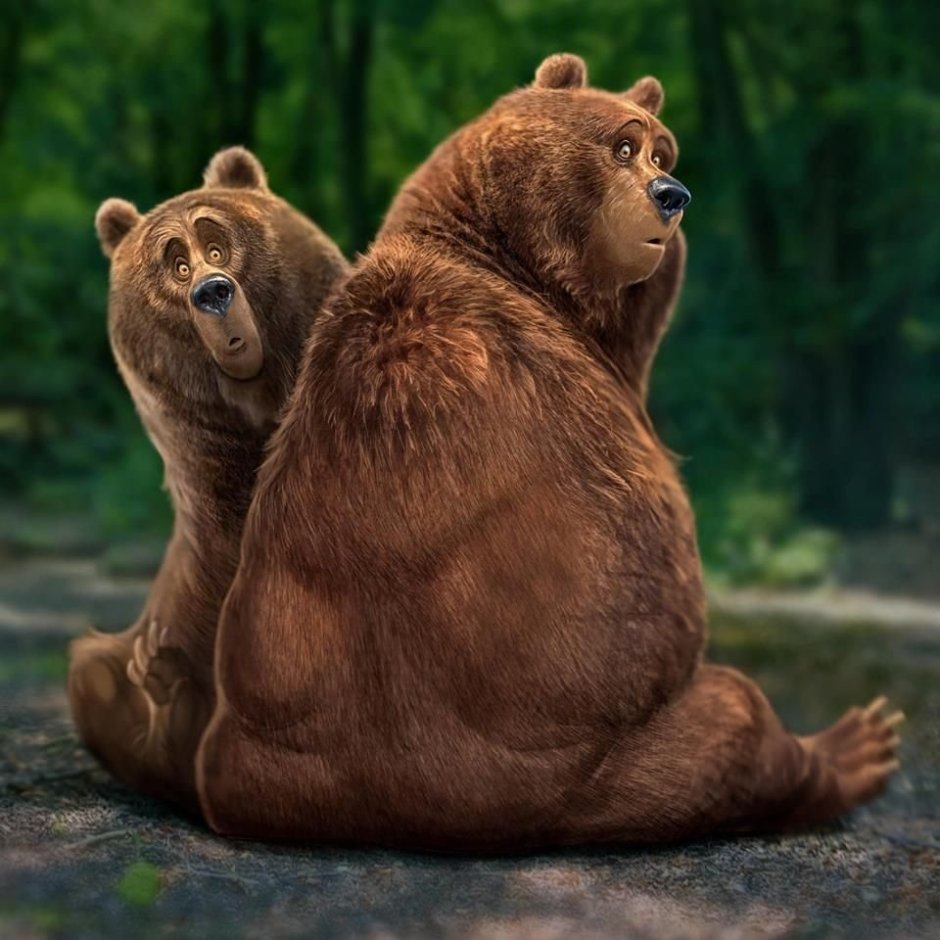 Тянь-шаньский бурый медведь