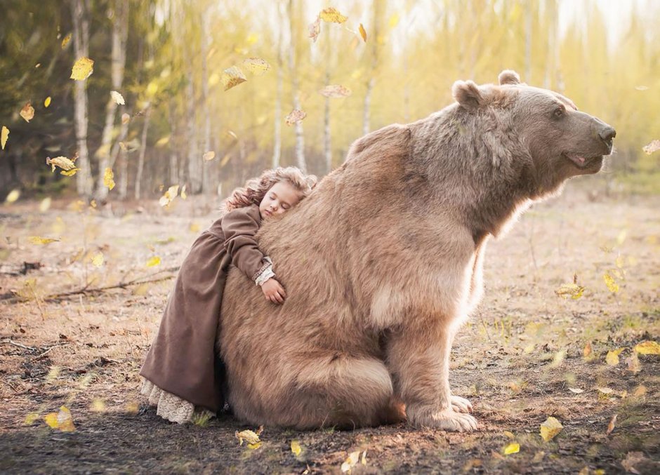 Медведь добывает мед