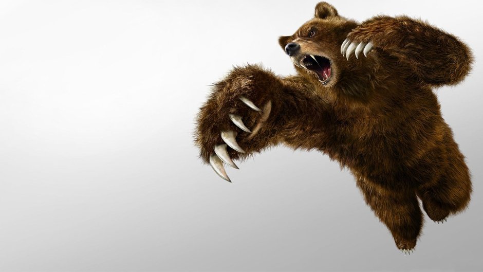 Nat geo Wild Гималайский медведь