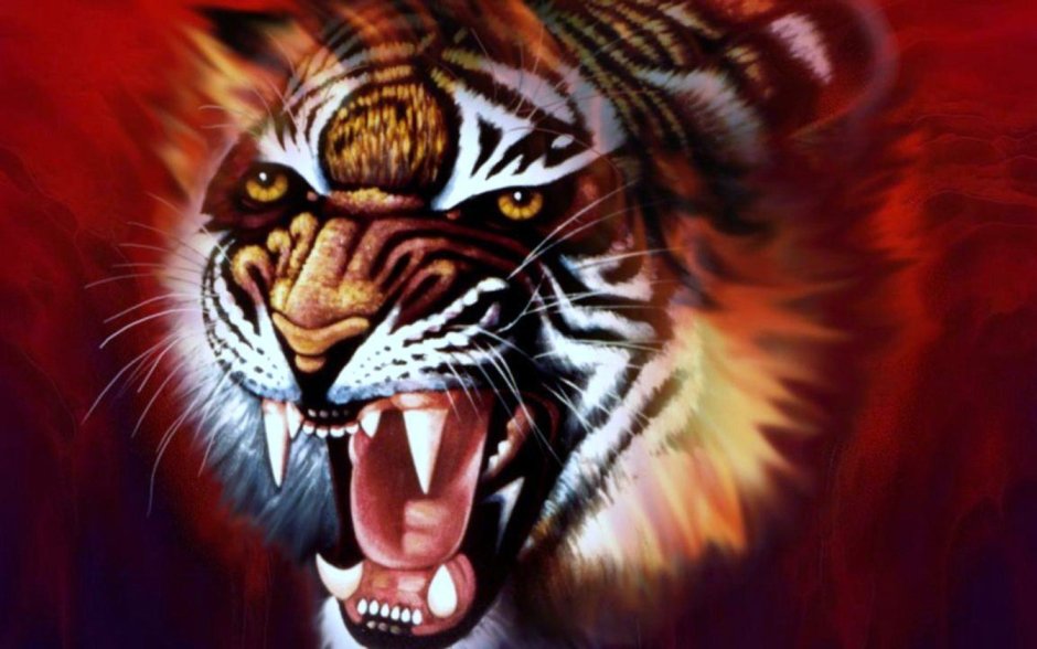 Амурский тигр клыки