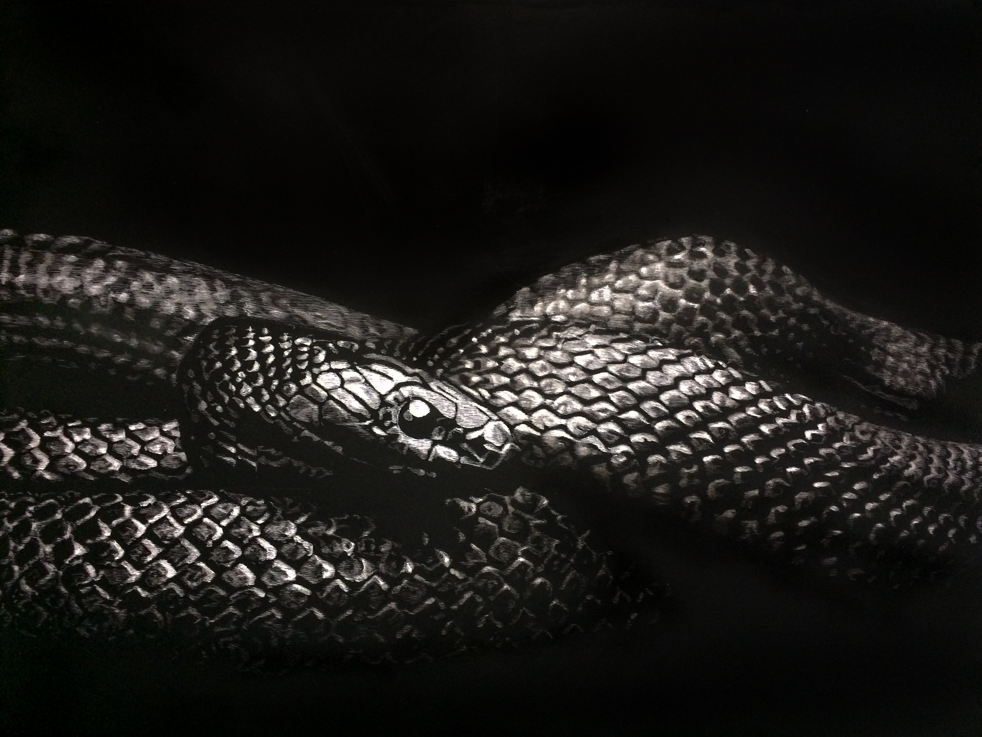 фото змеи с надписью
