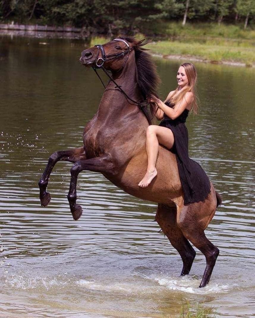 Конь мужик баб. Девушка на коне. Фотосессия с лошадьми. Девушка с лошадью.