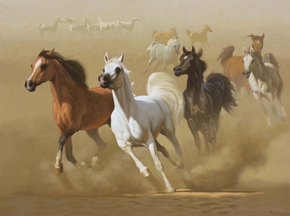 Hocine Ziani картины