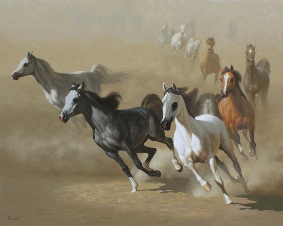 Художник Hocine Ziani