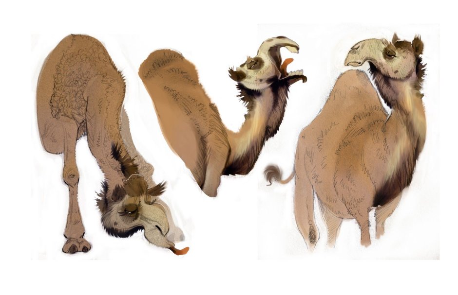 Camel character