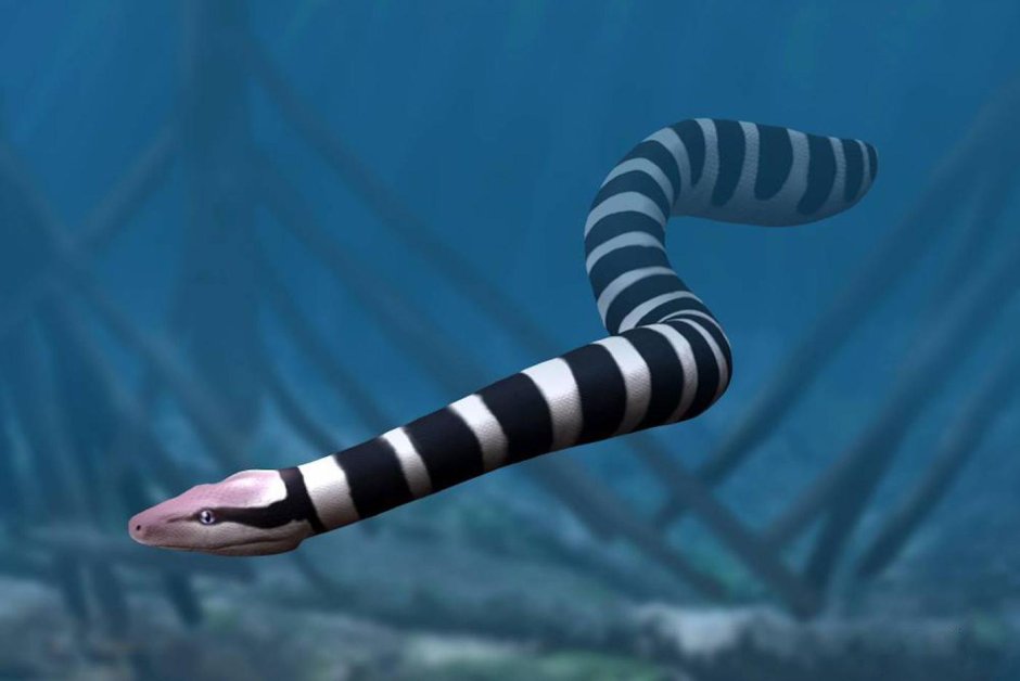 Palaeophis magreblanus