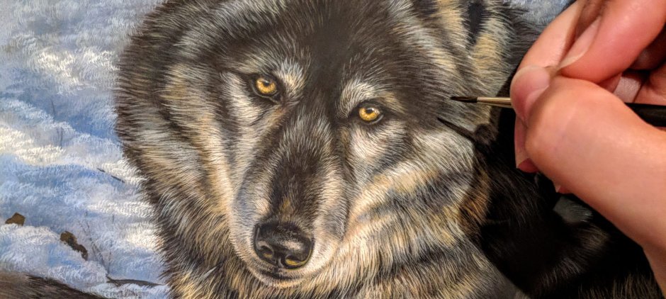 Wolf collection