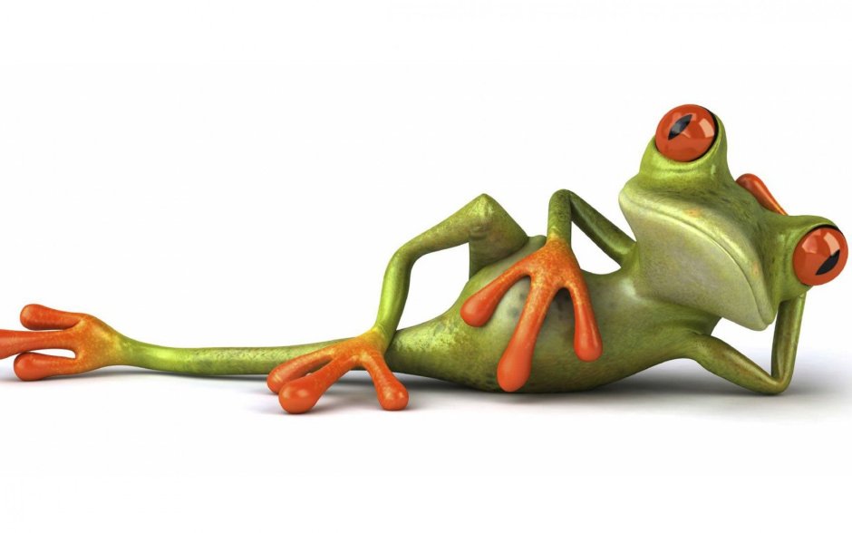 Мистер Фрог