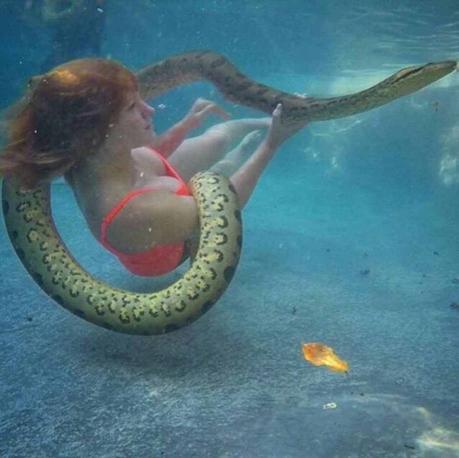 Водяные змеи