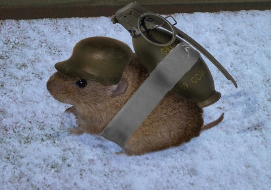 Боевой лемминг