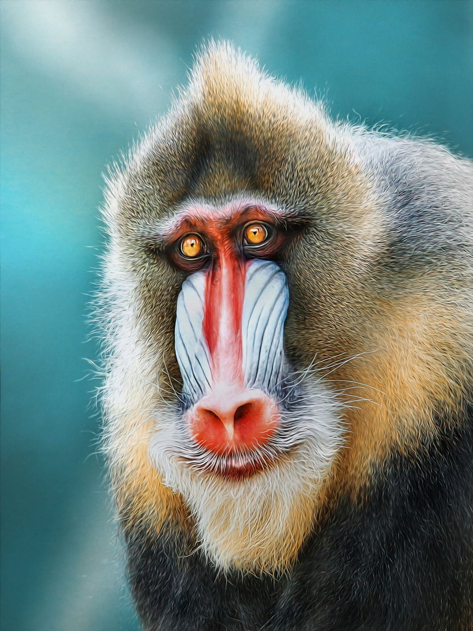Павиан Бабуин