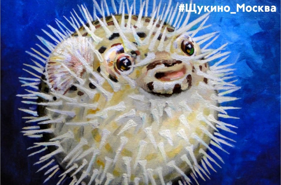 Blowfish рыба