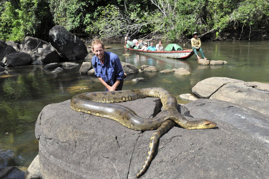 Река Амазонка змея Анаконда