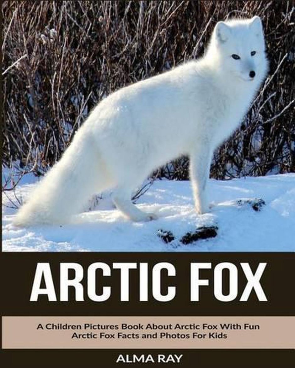 Arctic Fox фургон