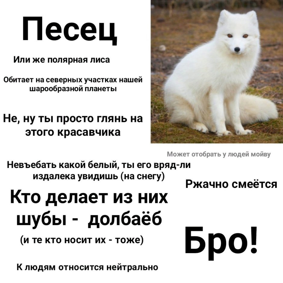 Полный писец