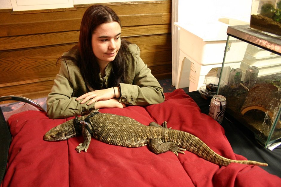 Капский Варан на руках