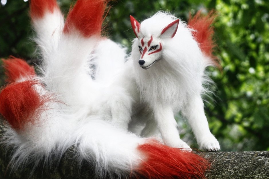 Кицунэ лиса в реальной жизни