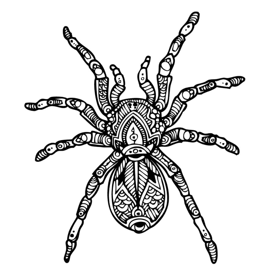 Стилизованное изображение паука