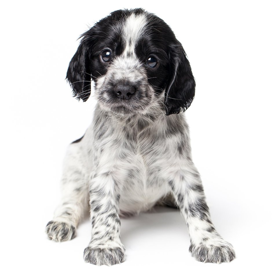 Набор для вышивания крестиком Нитекс арт.2339