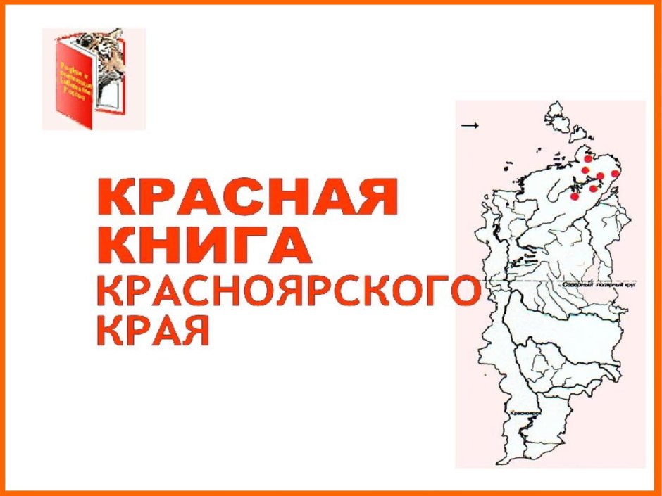 Красная книга Красноярского края обложка