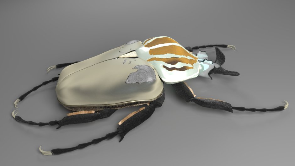 Goliathus Regius