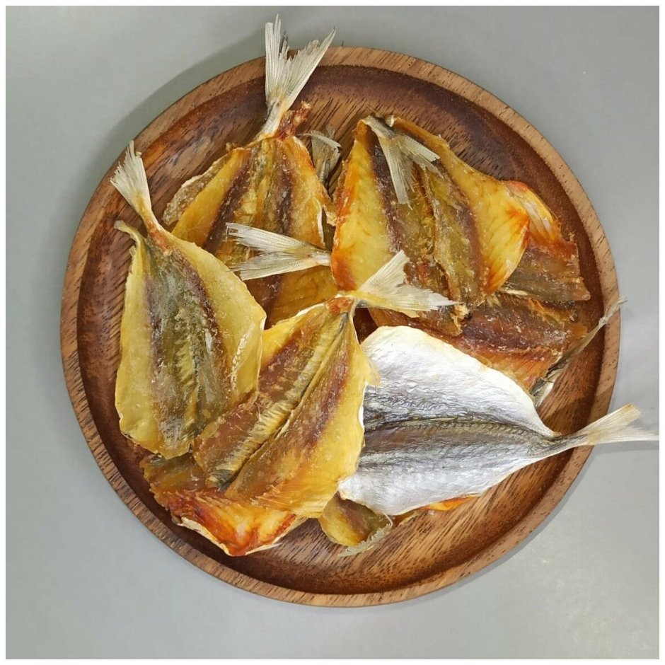 Змея коричневая с полосками