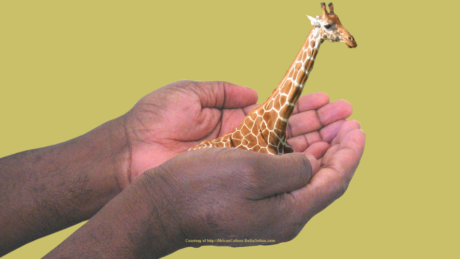 Самый высокий Жираф в мире в метрах