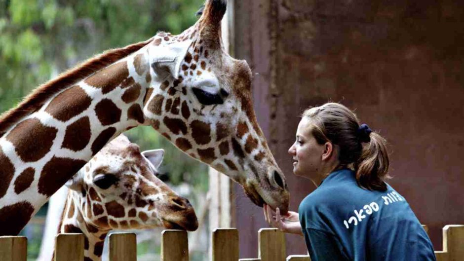 Зоопарки мира