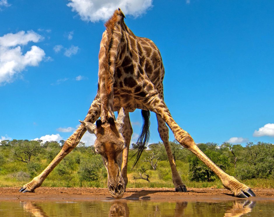 Яркие картинки