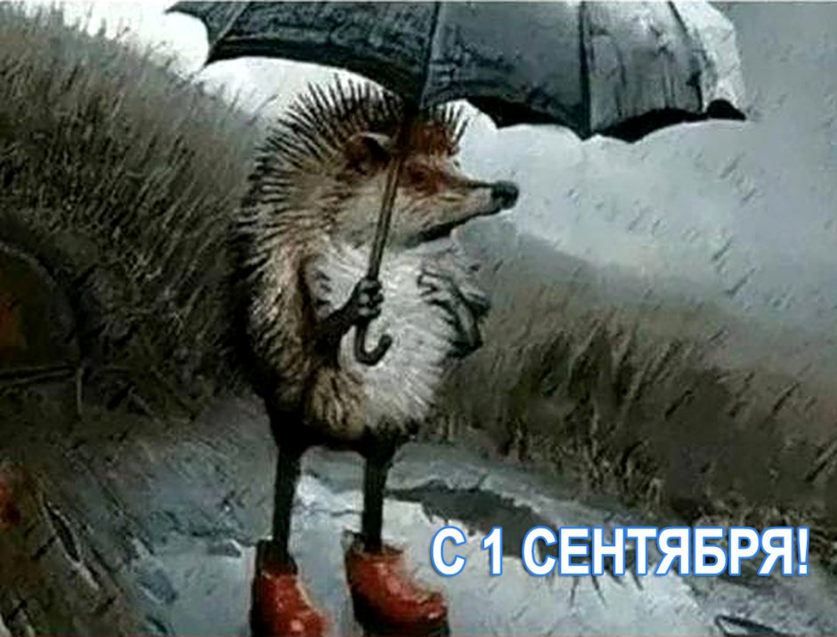 Ежик с зонтом