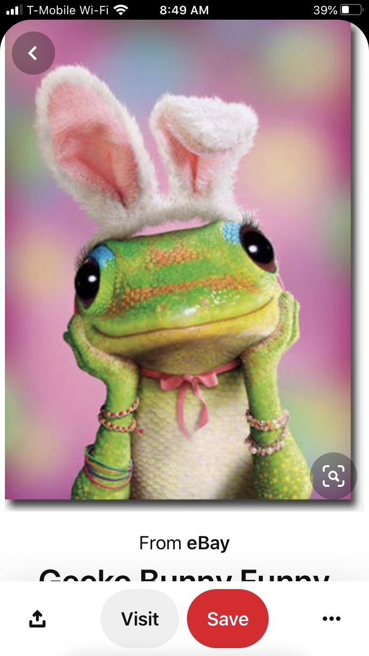 Жаба с ушами